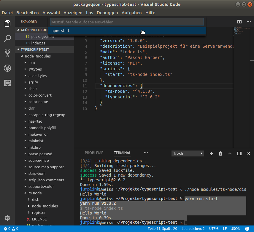 Visual Studio Code - NPM Skript ausführen